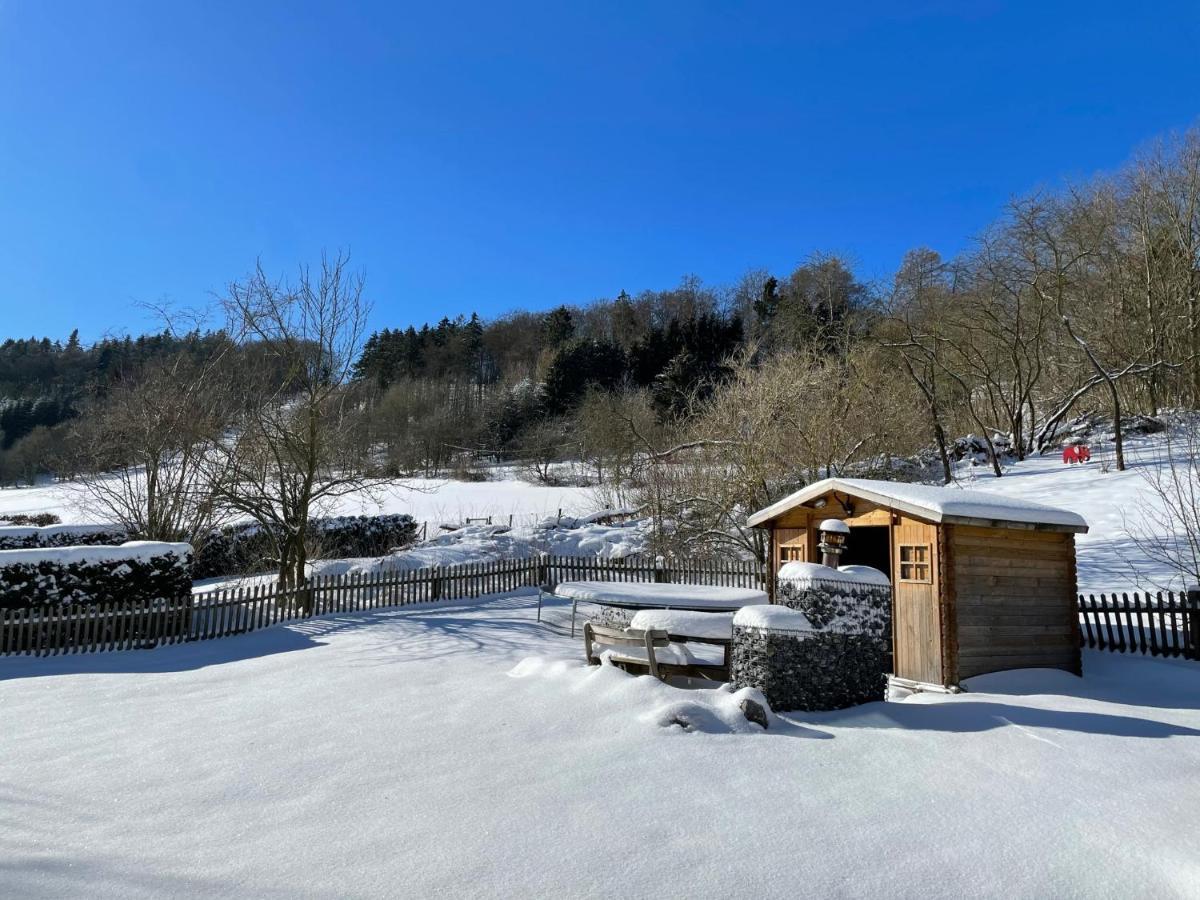 Ferienwohnung Up Willingen-Schwalefeld Willingen  Exteriér fotografie