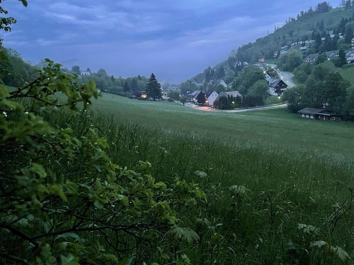 Ferienwohnung Up Willingen-Schwalefeld Willingen  Exteriér fotografie