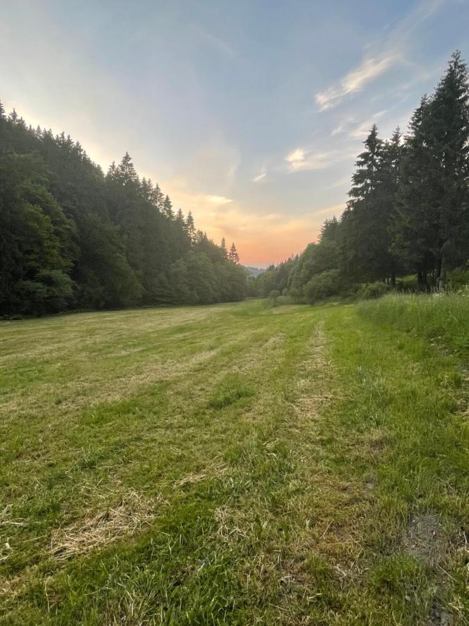 Ferienwohnung Up Willingen-Schwalefeld Willingen  Exteriér fotografie