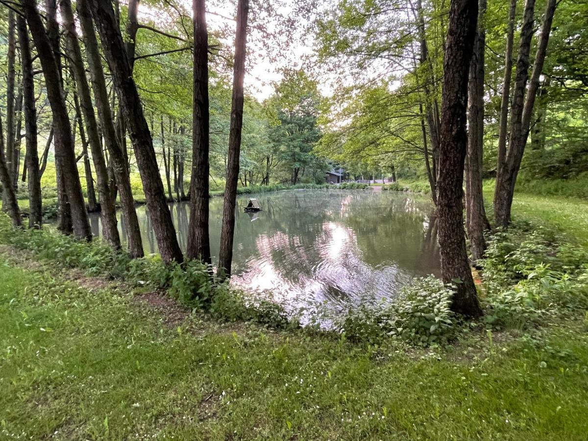 Ferienwohnung Up Willingen-Schwalefeld Willingen  Exteriér fotografie