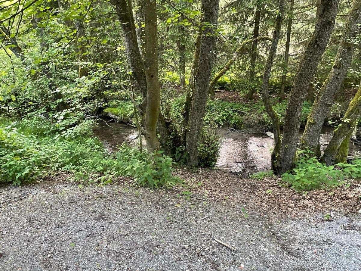 Ferienwohnung Up Willingen-Schwalefeld Willingen  Exteriér fotografie