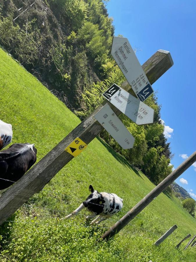 Ferienwohnung Up Willingen-Schwalefeld Willingen  Exteriér fotografie
