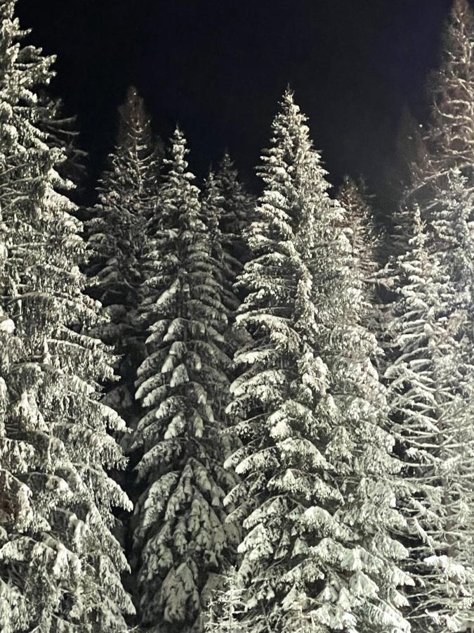 Ferienwohnung Up Willingen-Schwalefeld Willingen  Exteriér fotografie