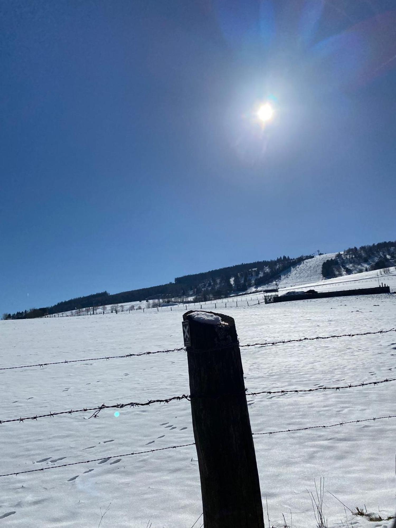 Ferienwohnung Up Willingen-Schwalefeld Willingen  Exteriér fotografie