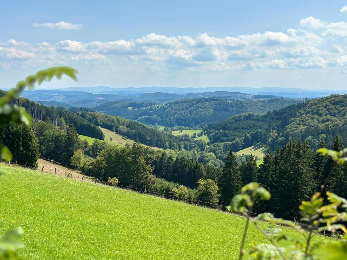 Ferienwohnung Up Willingen-Schwalefeld Willingen  Exteriér fotografie